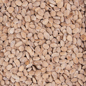 ALMENDRA TOSTADA SALADA SIN PIEL