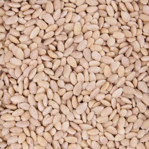 ALMENDRA CRUDA SIN PIEL