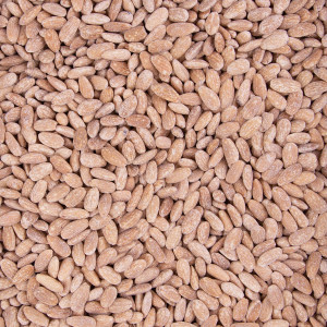 ALMENDRA TOSTADA SIN PIEL