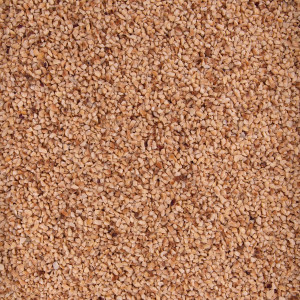 GRANILLO DE  AVELLANA TOSTADA